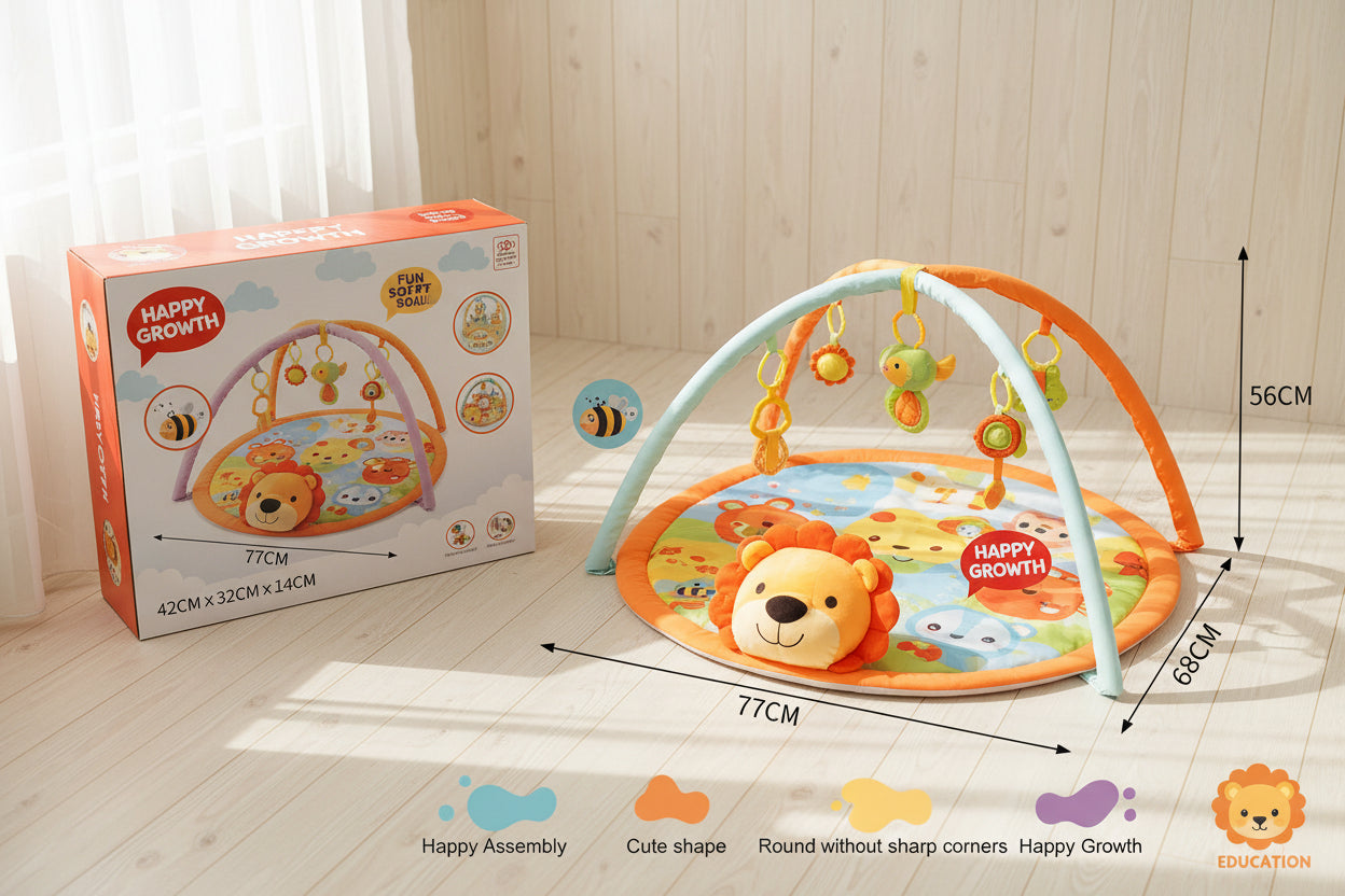 PLAYGYM MAT TOY