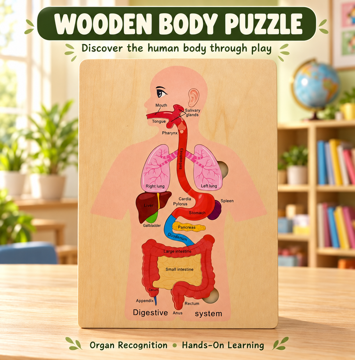 Wooden Human Body Puzzle