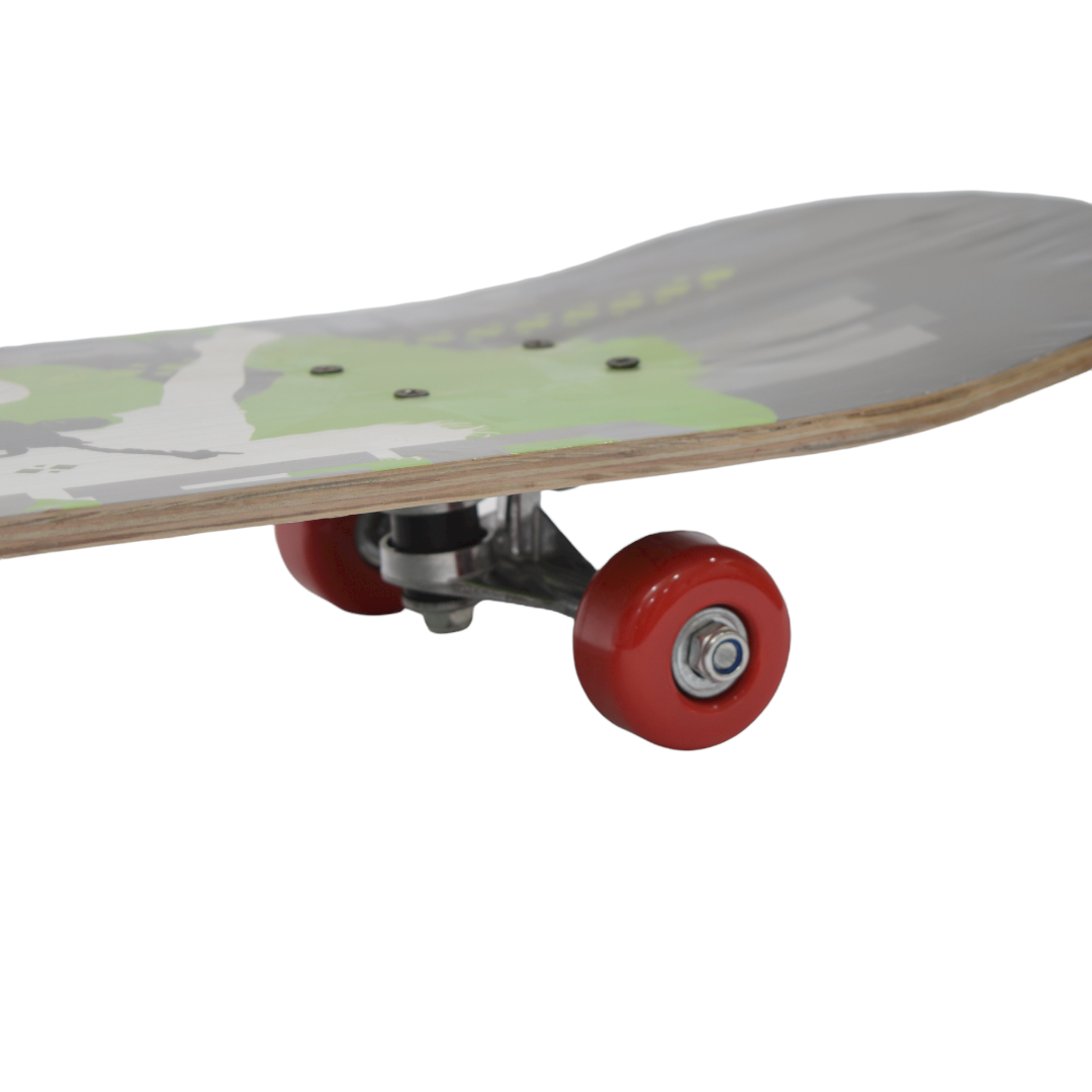 SKATE BOARDS