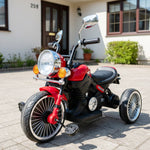 KIDS TRICYCLE BIKE SHAPE