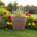 FLOWER POT MIX COLOUR