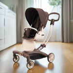 BABY BUGGY/PUSH CHAIR