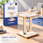 Tensegrity Structure STEM Toy
