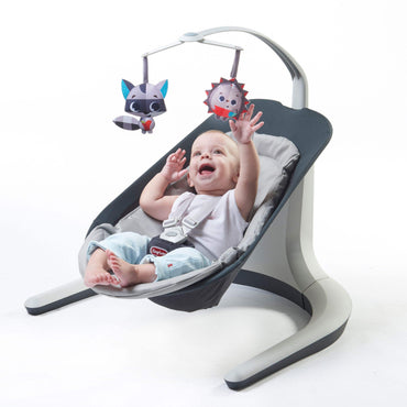 BABY SWING & BOUNCER 2 IN 1 TINY LOVE